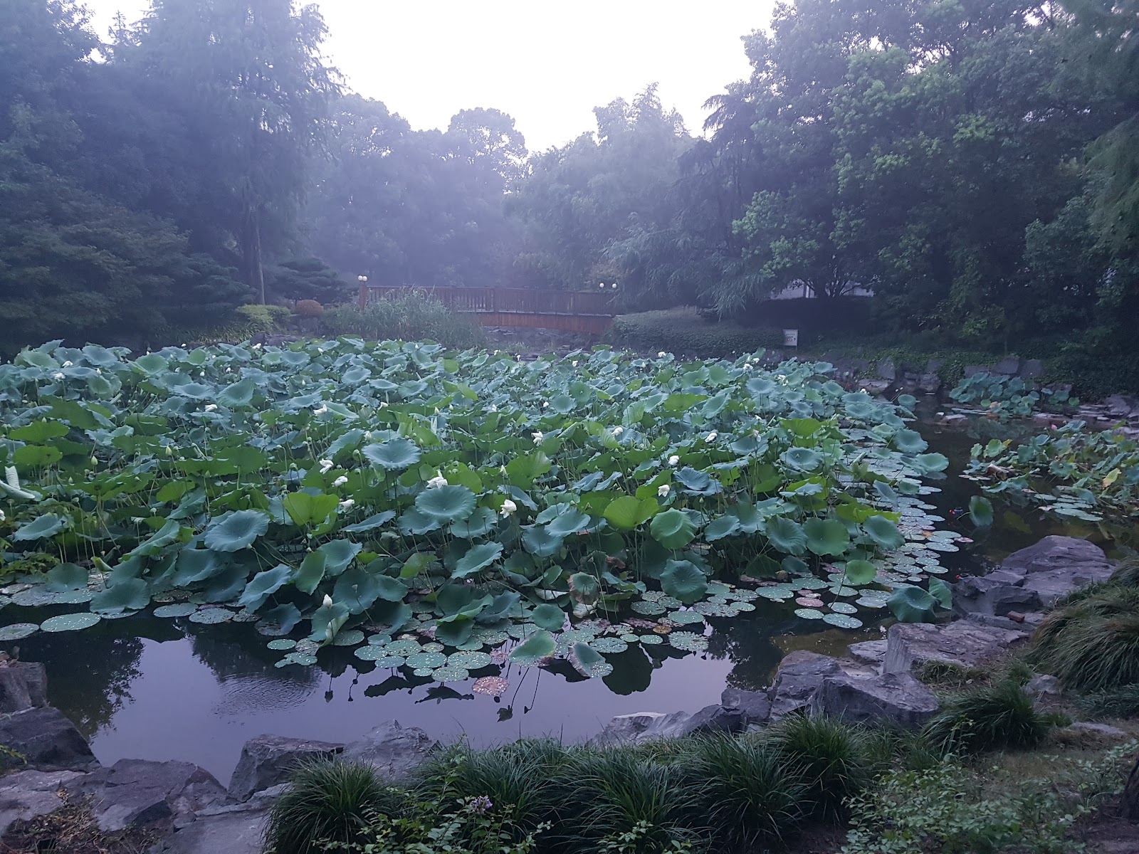중국 상하이 여행기 2  - 블록체인 — 사진 28
